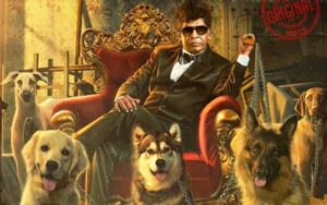 Naai Sekar Returns review